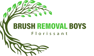 brush removal boys florissant mo