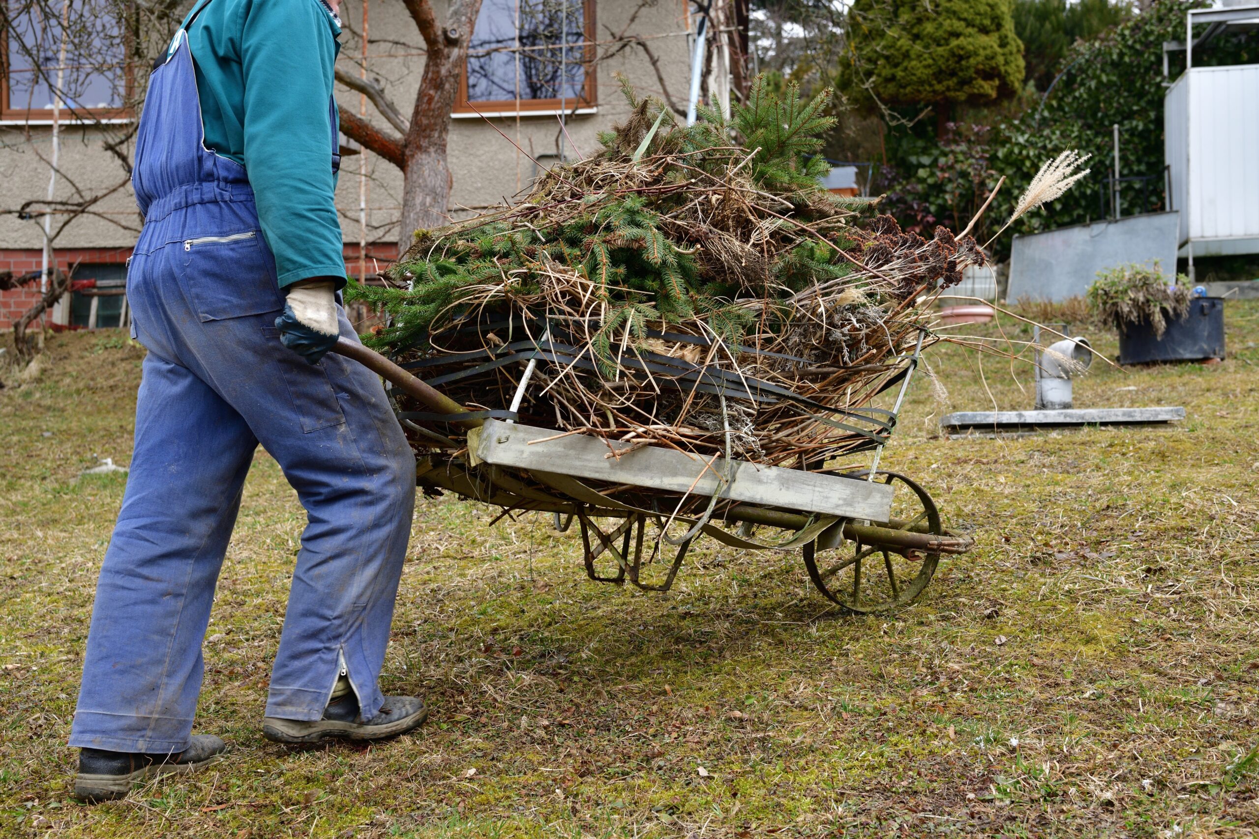Bushes Removed Florissant MO