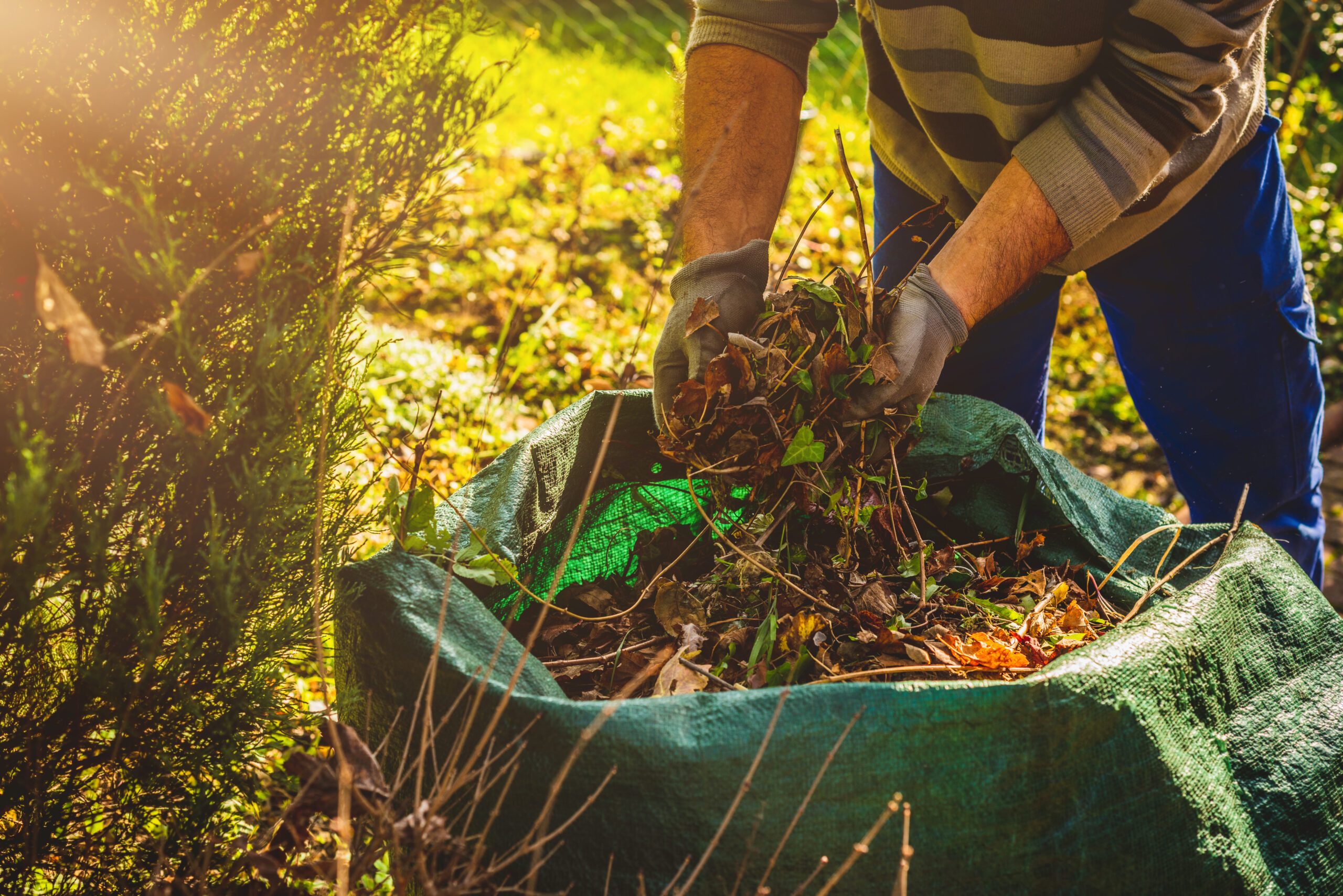 underbrush removal service florissant mo